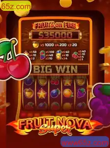 Explorando o Universo de FruitNovaSuper: O Jogo que Desafia a Estratégia